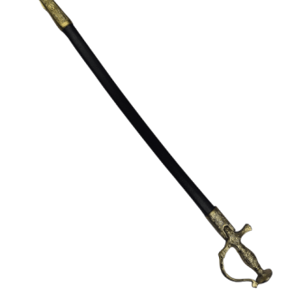 Tipu Sultan 2