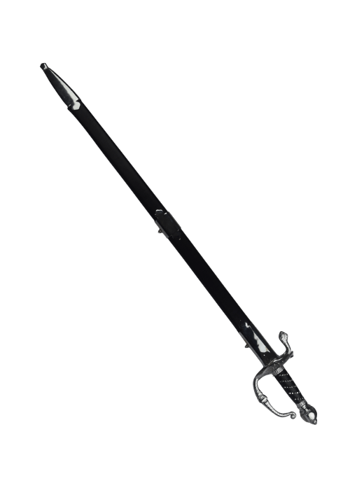The Rapier Sword Zorro